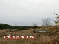 comp_Schönow WGT GSSD Bunker 2012 (2).jpg