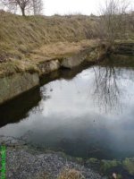 DSC00129.JPG