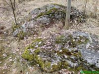 DSC00132.JPG